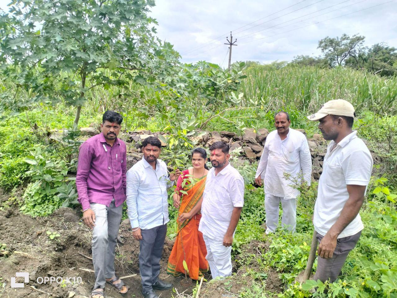Tree Plantation